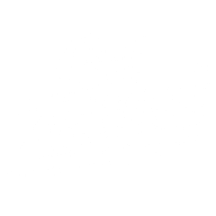 Gui Zanoni